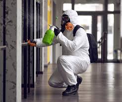 Reliable Cheval, FL Mold Removal Services Solutions